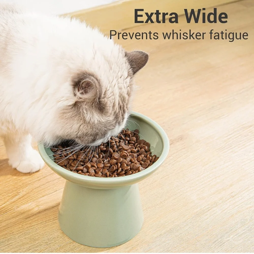 Elevated Green Pet Bowl